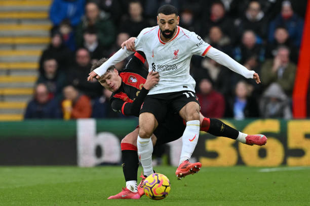 迷的狂热 迷的狂热